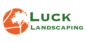 Untitled design (17)